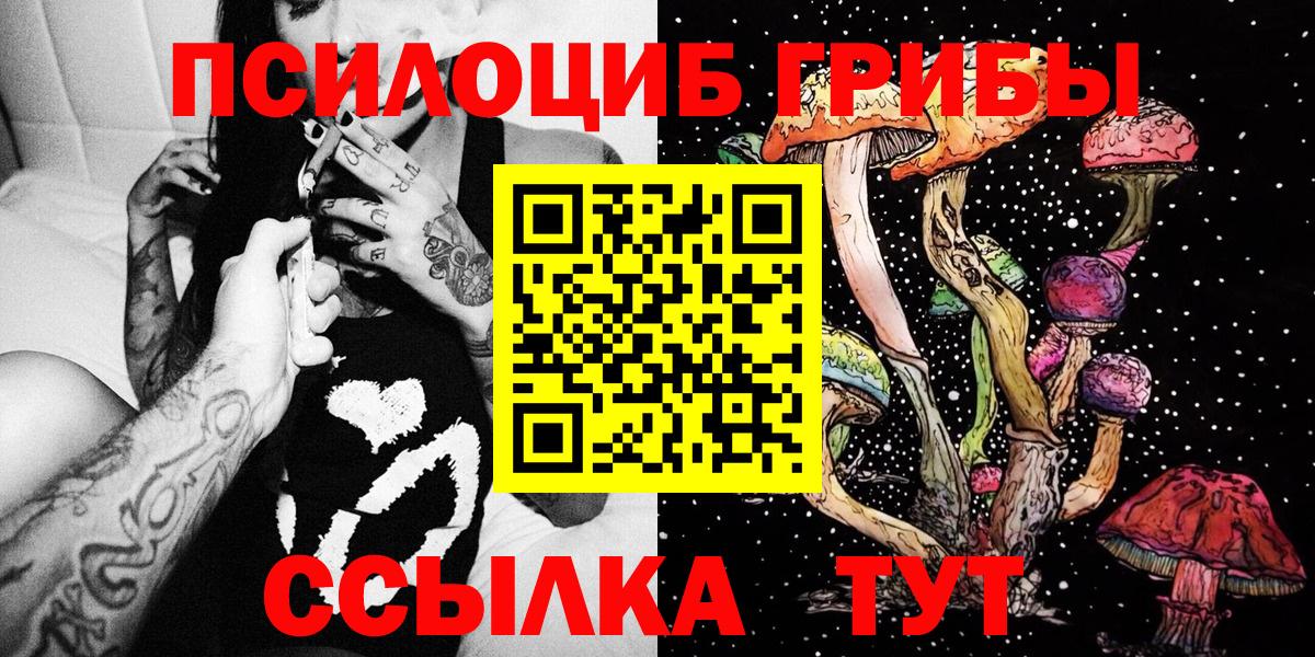 Воскресенск  Галлюциногенные грибы Psilocybe  цена наркотик  Вход с VPN 